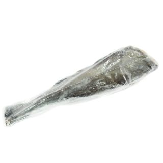 mero branzino cileno