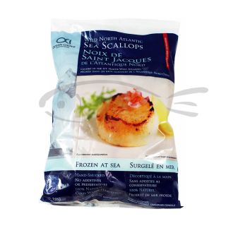 noci di cappasanta per consumo crudo