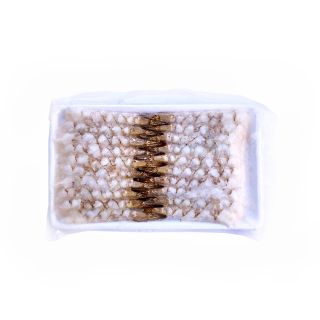 kodawari mazzancolle tropicali sgusciate per fritture