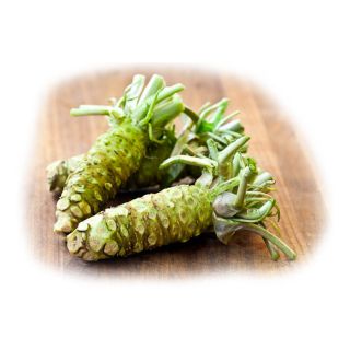 hon wasabi il vero wasabi