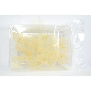 amihozuke decorazioni naturali per alimenti